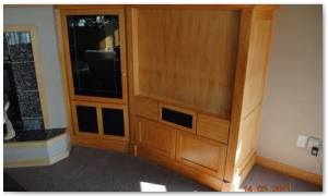 entertainment_center_001__green_county_humane_society