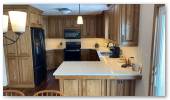 kitchencabinetsimg_2490